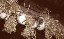 Skulls of human heads taken as trophies by Monsopiad