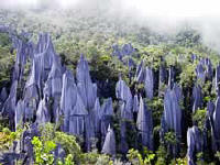 Razor sharp 'Pinnacles'